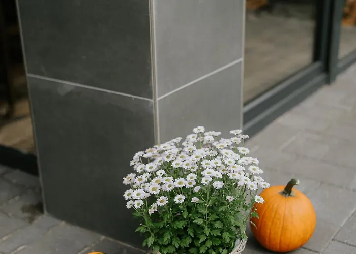 Castle - Szabadkígyós